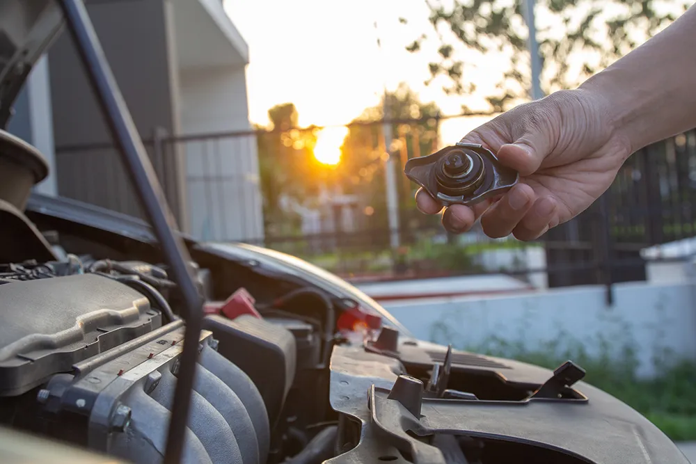 Keeping Cool: Radiator Replacement For European Vehicles