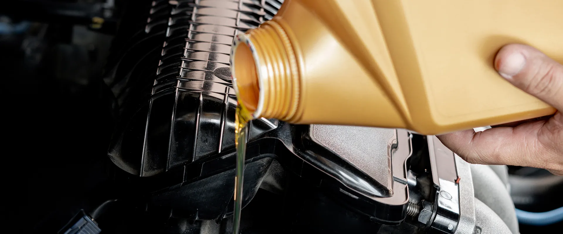 Oil Change near Not Found